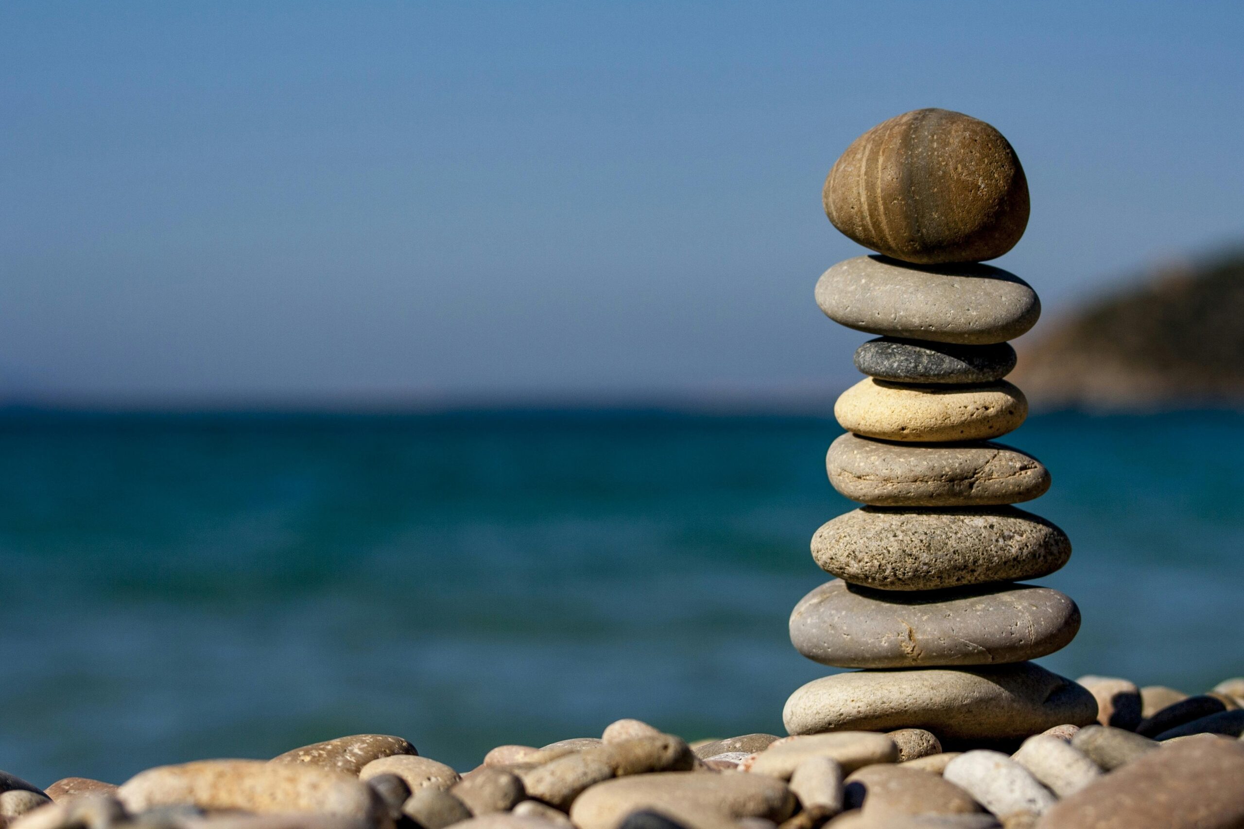 Understanding Holistic Wellness: Balancing Body, Mind, and Environment